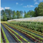 Agricultural Weed Mat