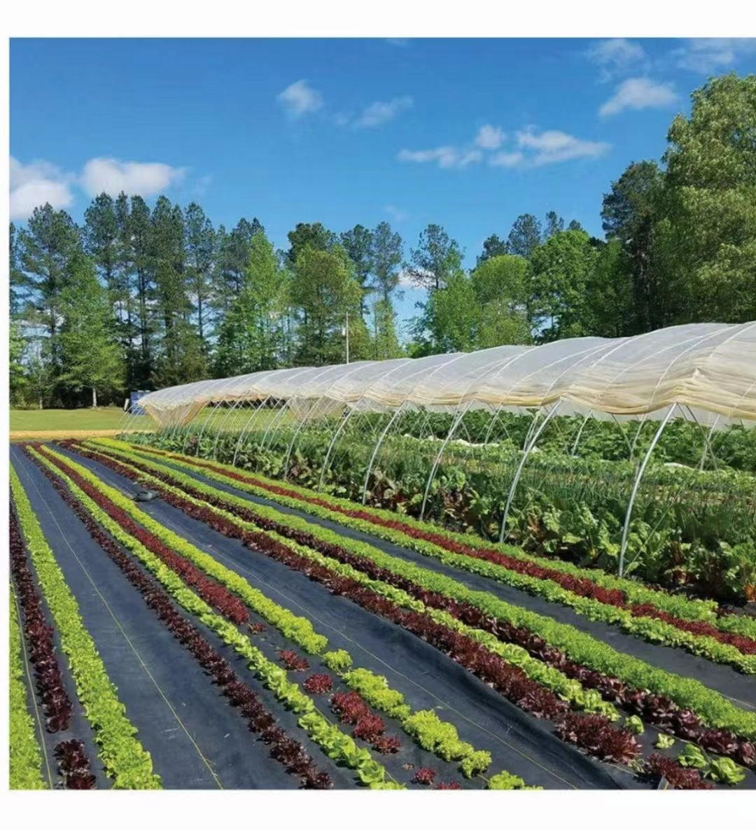 Agricultural Weed Mat