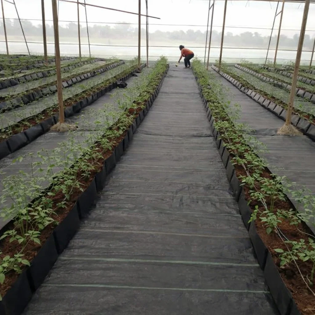 Weed Mat for Nursery