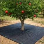 Weed Mat for Pomegranate